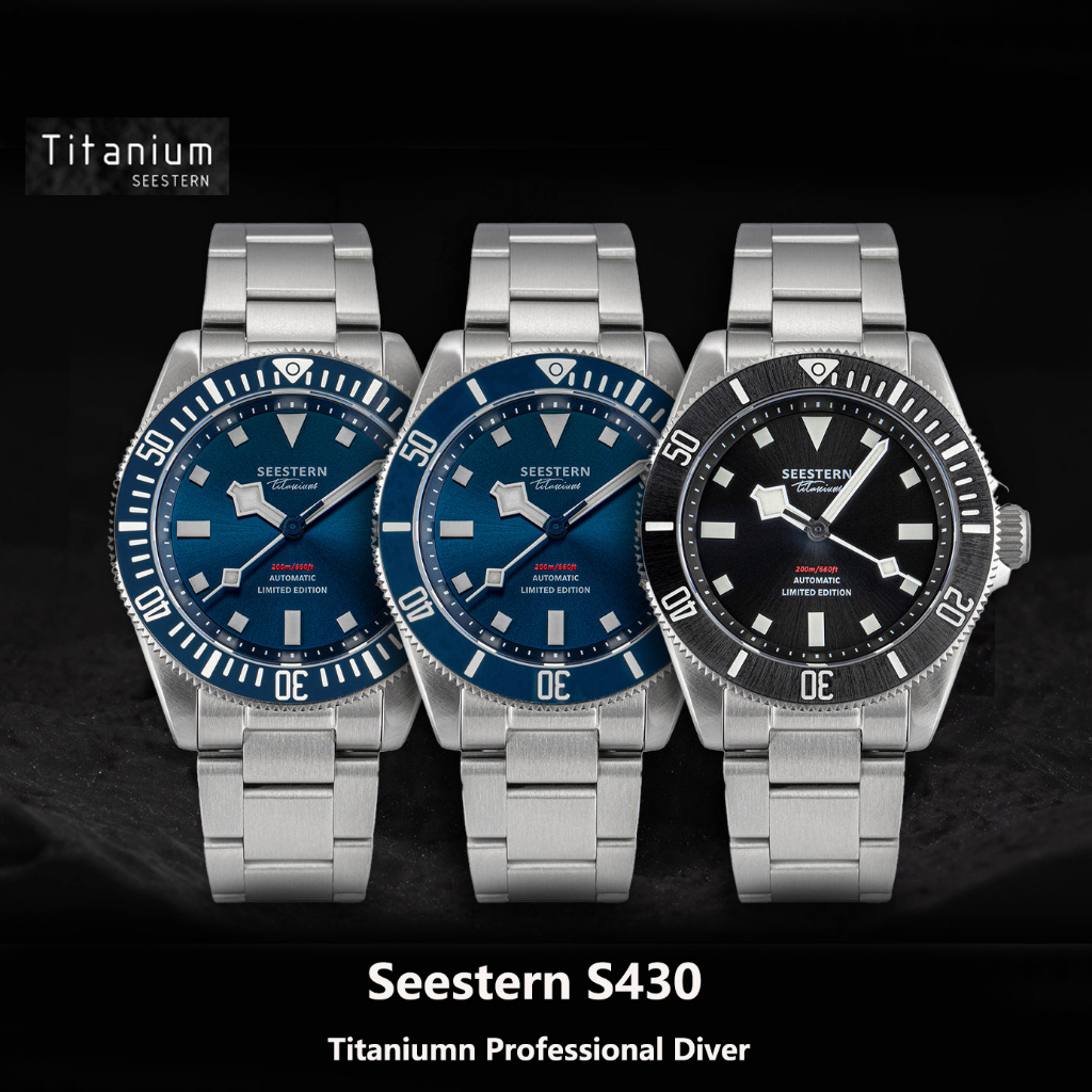 Seestern S430 Titaniumn Professional Diver Watch New Titanium Grade 2