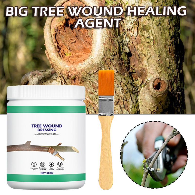 Bonsai Pruning Cutting Paste Tree Wound Dressing Tree Wound Sealer