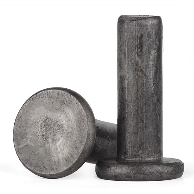 Flat Head Rivet Long Body M4 M5 M6 M8 M10 M12 Size Round Solid ...