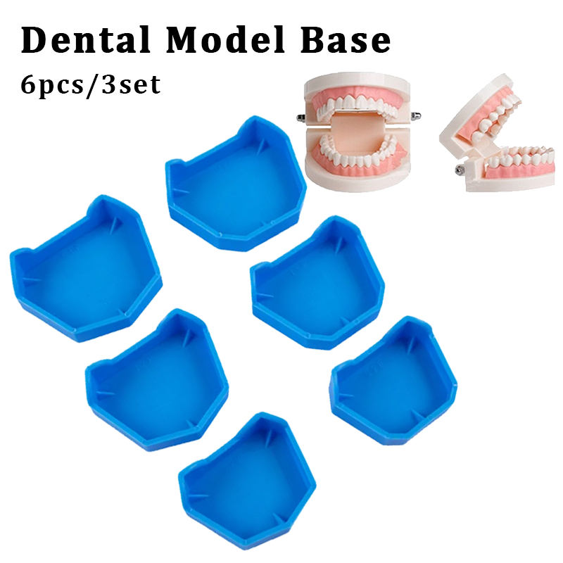 6Pcs/set Denture base Dental Model Base Set Dental Mold Plaster Base Denture Tray Dental Lab