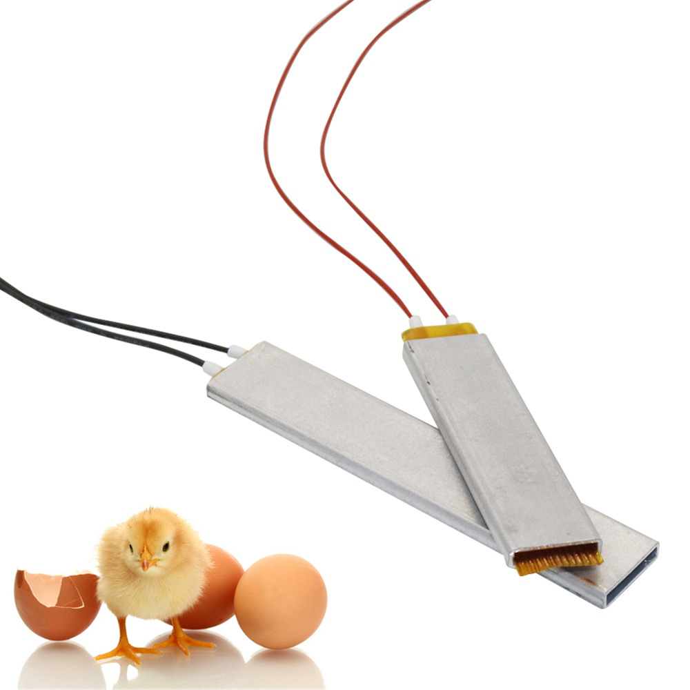 1 Pcs 220V/110V/12V Heated Incubator PTC Heater DIY Egg Incubator