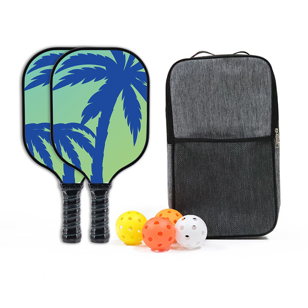 [Free Package and 4 Pickle Balls] Carbon Fiber Pickle Racket Pickle