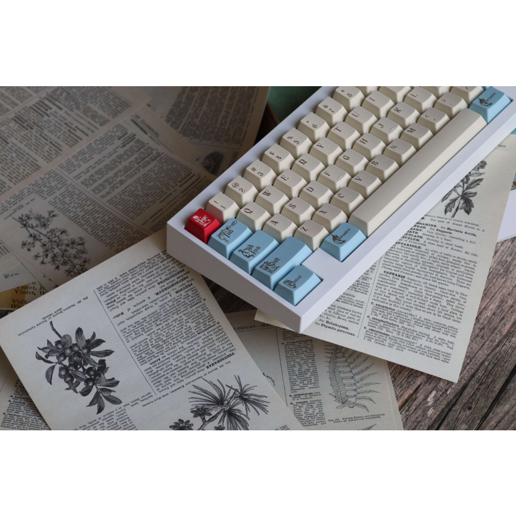 KBDfans Tofu60 2.0 E-coating Snow（Kbdfans Tofu 60 2.0 Wkl