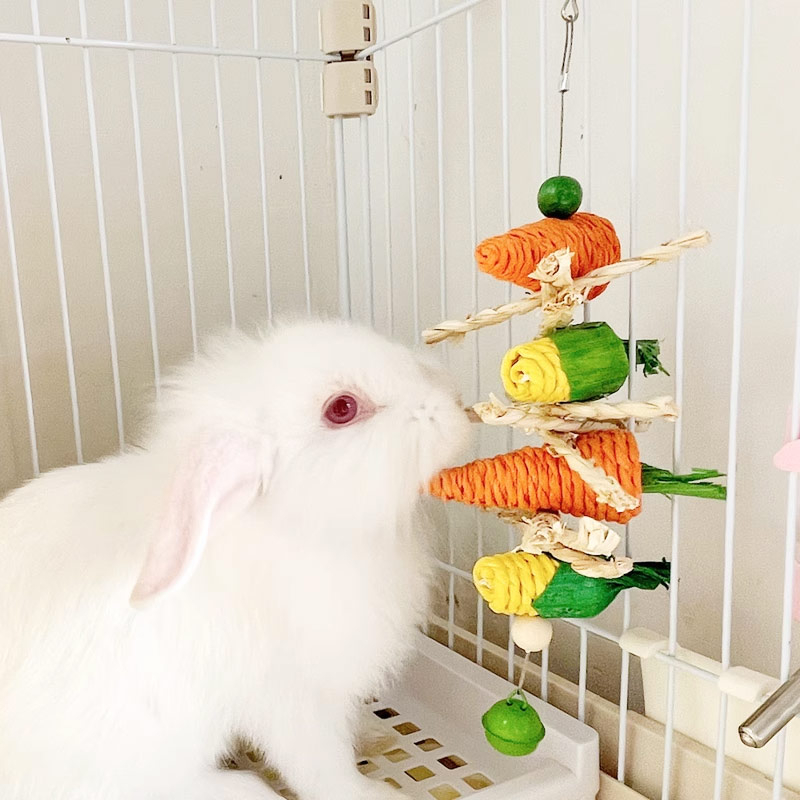 Pet Rabbit Straw Carrot Molar Hanging String My Neighbor Totoro Molar