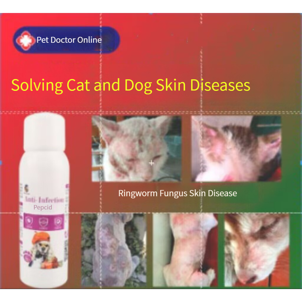 Cure Cat Moss Special Medicine Effects Spray Kitten Skin Med Shopee