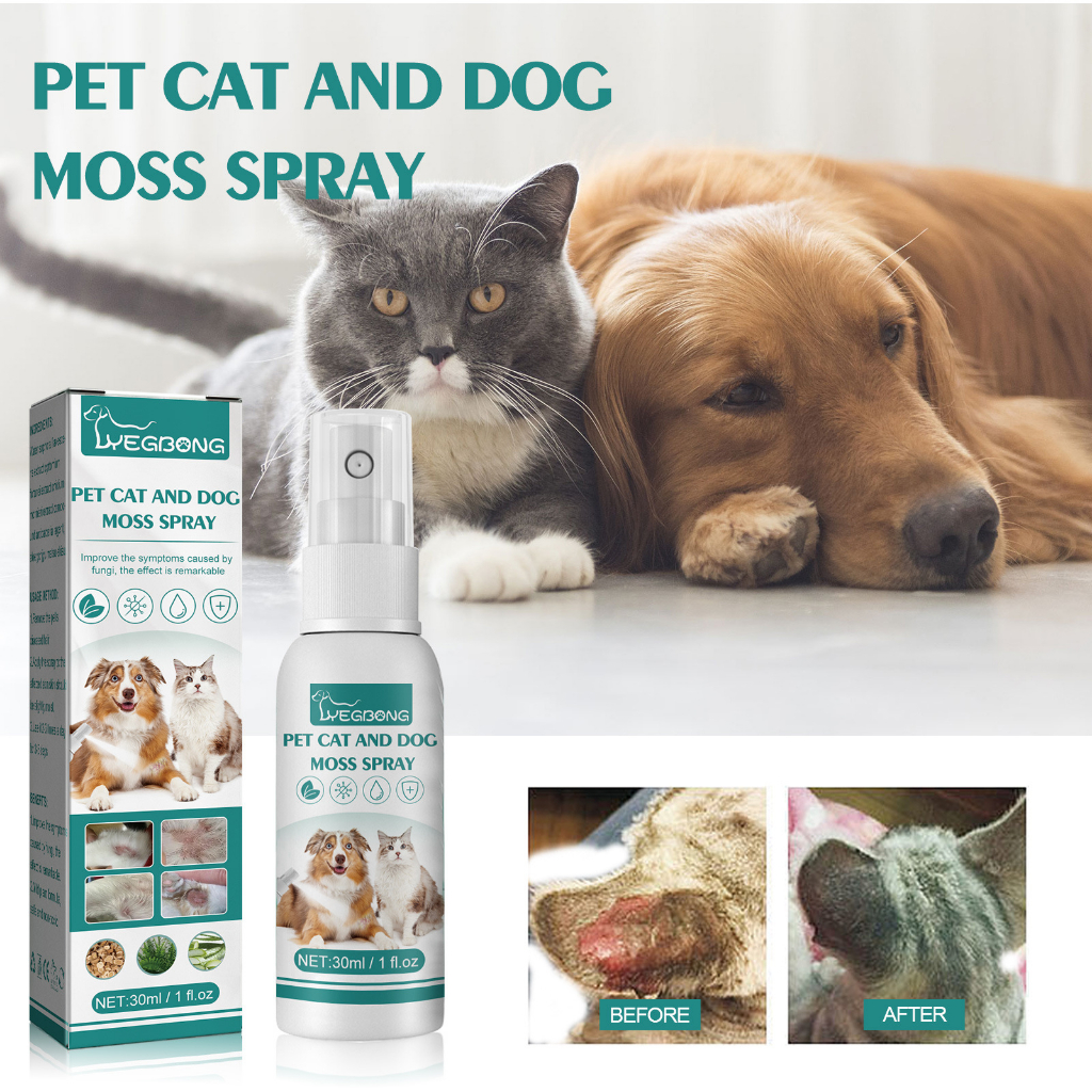 Gallery Detail: Pet Fur Spray Treatment Allergies Dermatitis Eczema For Cat Dog