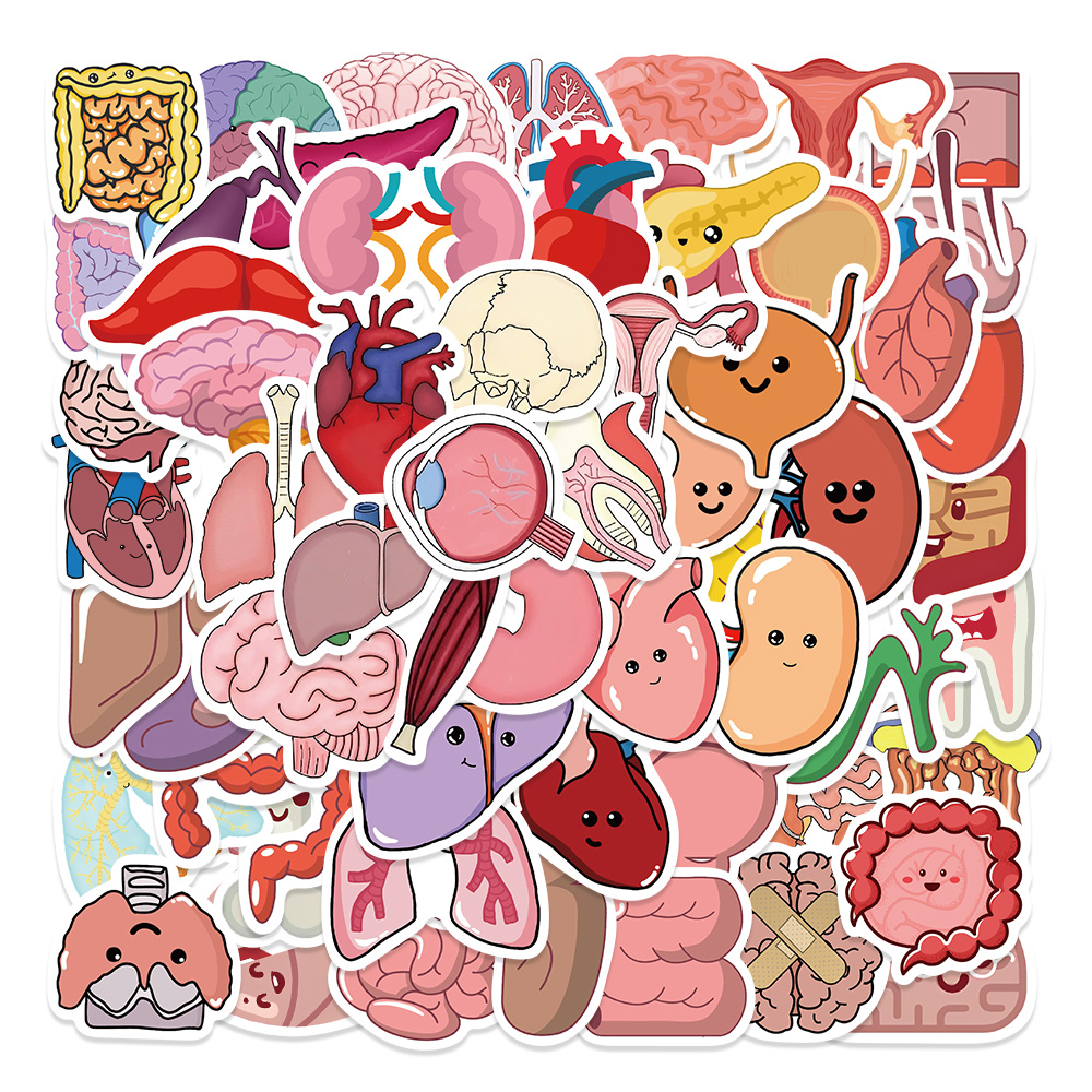 65Pcs Cartoon Human Body Organ Stickers Waterproof Sticker Anatomy Map ...