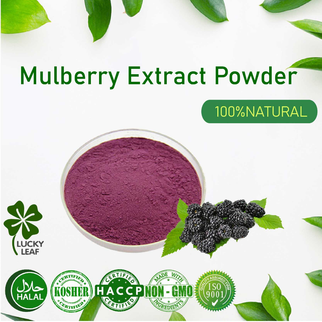100g-200g Mulberry Powder Extract/Shahtoot /桑葚/Anthocyanidin-HALAL ...