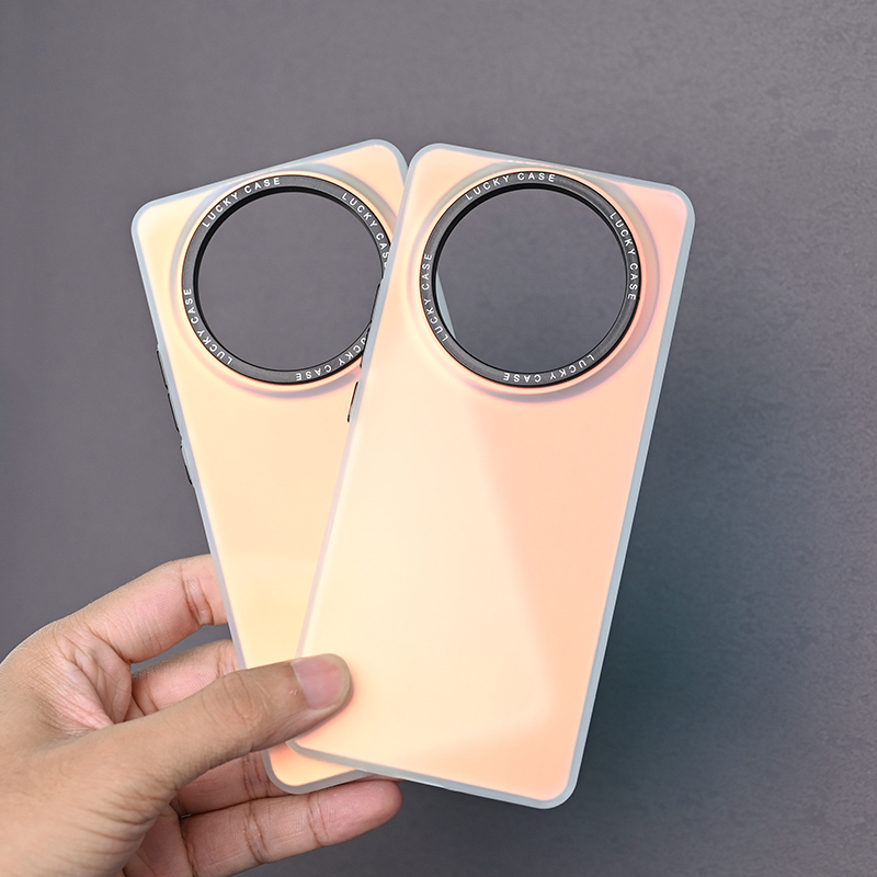 For Realme 11 Pro Plus Pro+ 5G Casing Discolored Translucent Matte Hard