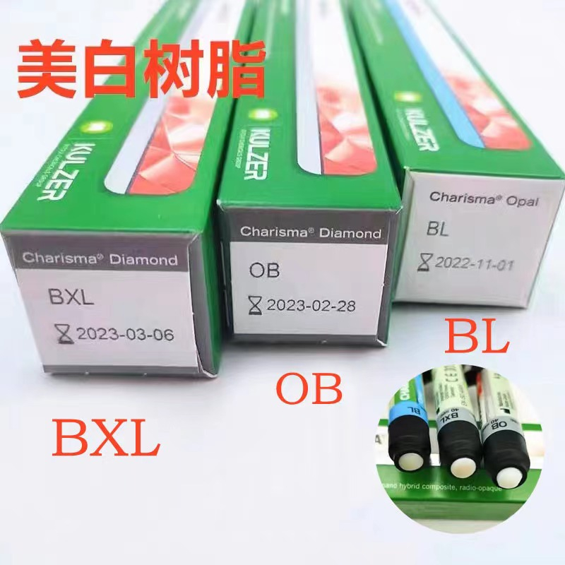 4g/BL/BXL/OB Kulzer charisma universal light-curing composite Nano ...