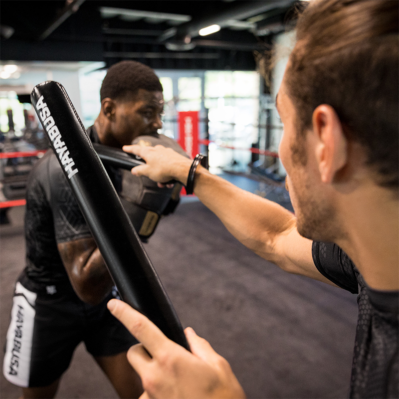 Hayabusa Falcon Boxing Stick Target Sanda Fighting Training Target ...