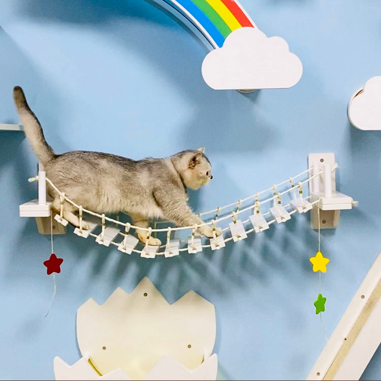 Solid Wood Cat Bridge Jambatan Kucing Cat Rope Bridge Climbing Frame