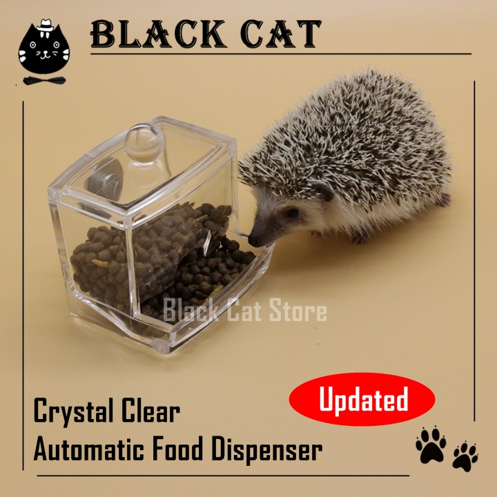 Automatic hedgehog feeder sales