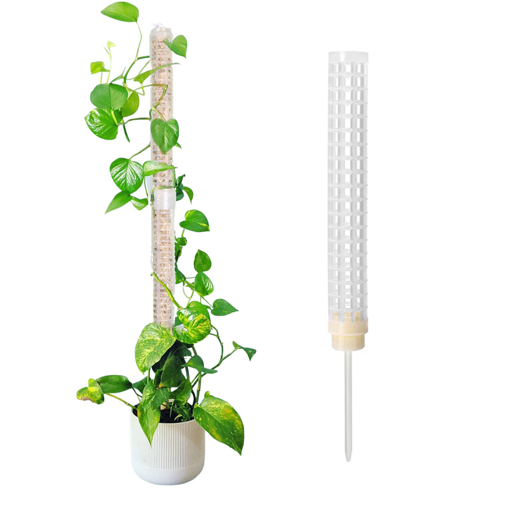 Plants Growing Support Plant Climbing Stand Column Sphagnum Moss Pole ...