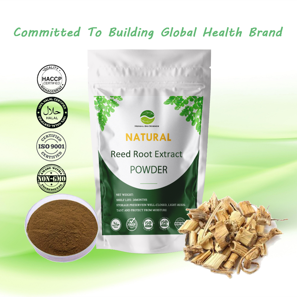 【Natural】Reed Root Extract Powder/Reed Rhizome/Traditional Chinese Herb ...