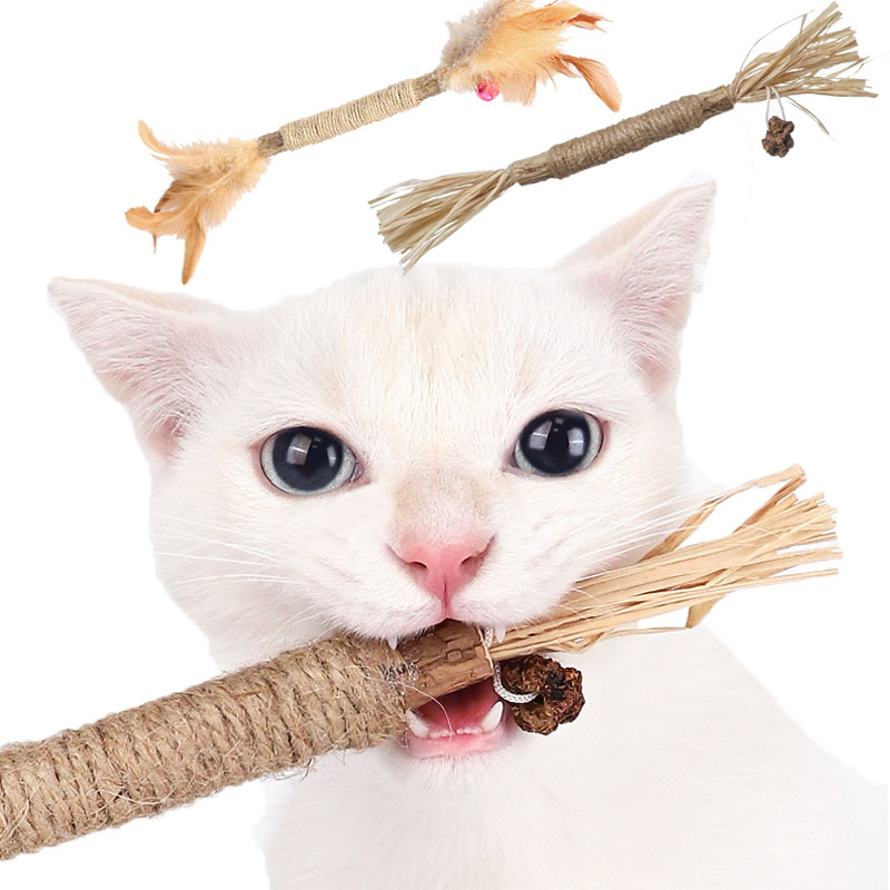Natural Silvervine Sticks Cat Toys Catmint Silvervine Blend Sticks