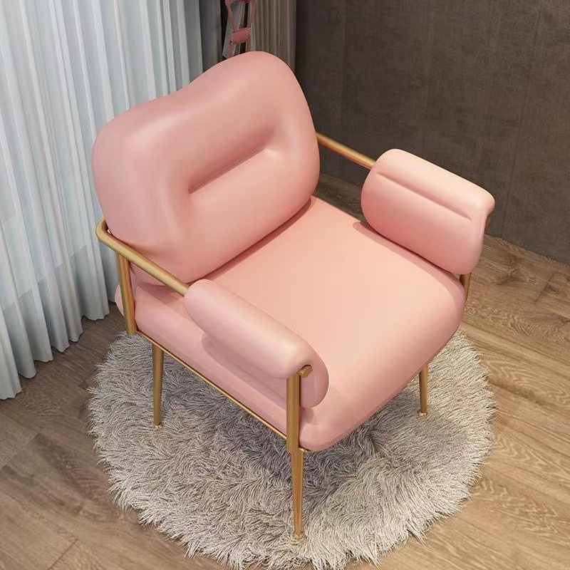 Influencer Chair Makeup Chair Desk Chair Nordic ins Light Luxury Dining