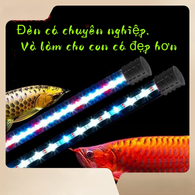 Fish Tank Light Colorful Brightening Lighting led Light Waterproof Aquarium Light Diving Light