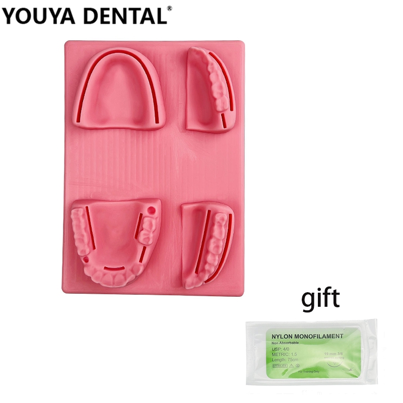4 Pezzi Set Modelli In Silicone Per Sutura Dentale – Esercitazione Su Parodontite Per Studenti Odontoiatria E Veterinari