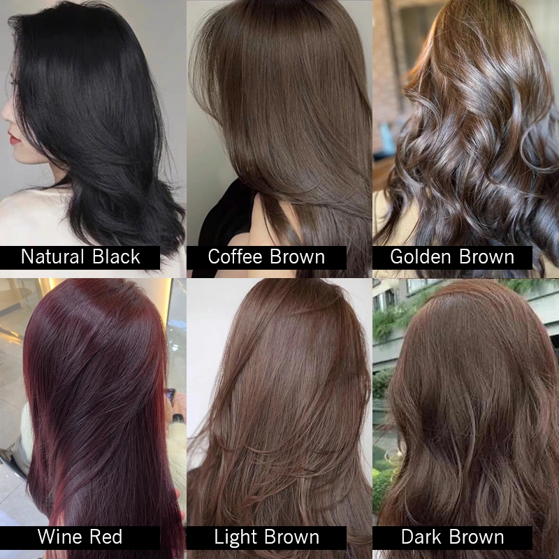 DEXE Plant moisturizing hair color cream Shopee Philippines