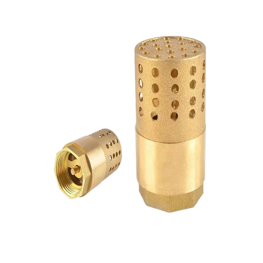 Brass Foot Valve water pump check valve internal wire 1 inch DN25 check