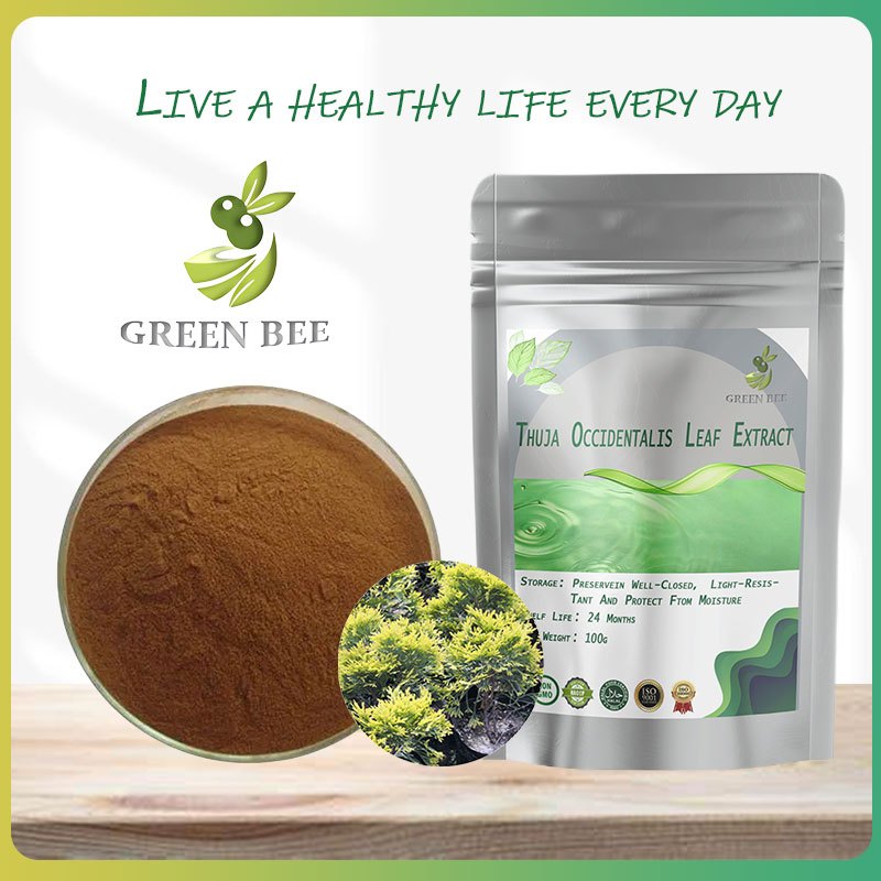 【100-1000g】Thuja Occidentalis Leaf Extract/Relieve cough/intermittent ...