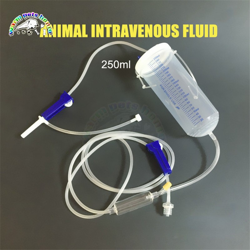 Animal Intravenous Fluid Bottle Disposable Sterile IV Fluid for Dog Cat