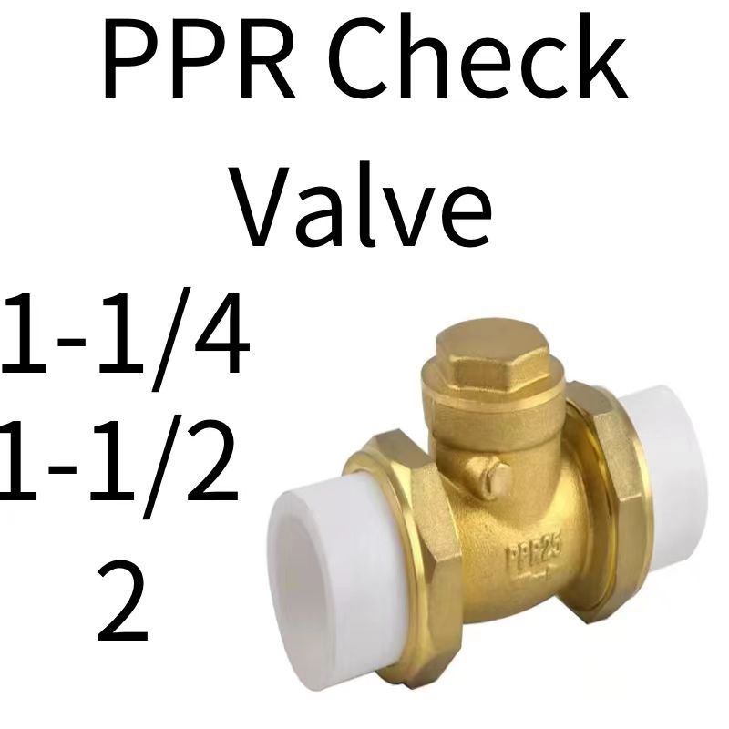 Ppr Fittings Double Union Check Valve Water Pipe Hot Melt Tap Water