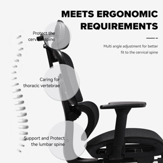 MUSSO E600 PRO Ergonomic Chair With 3D Handrail, Adjustable Headrest ...