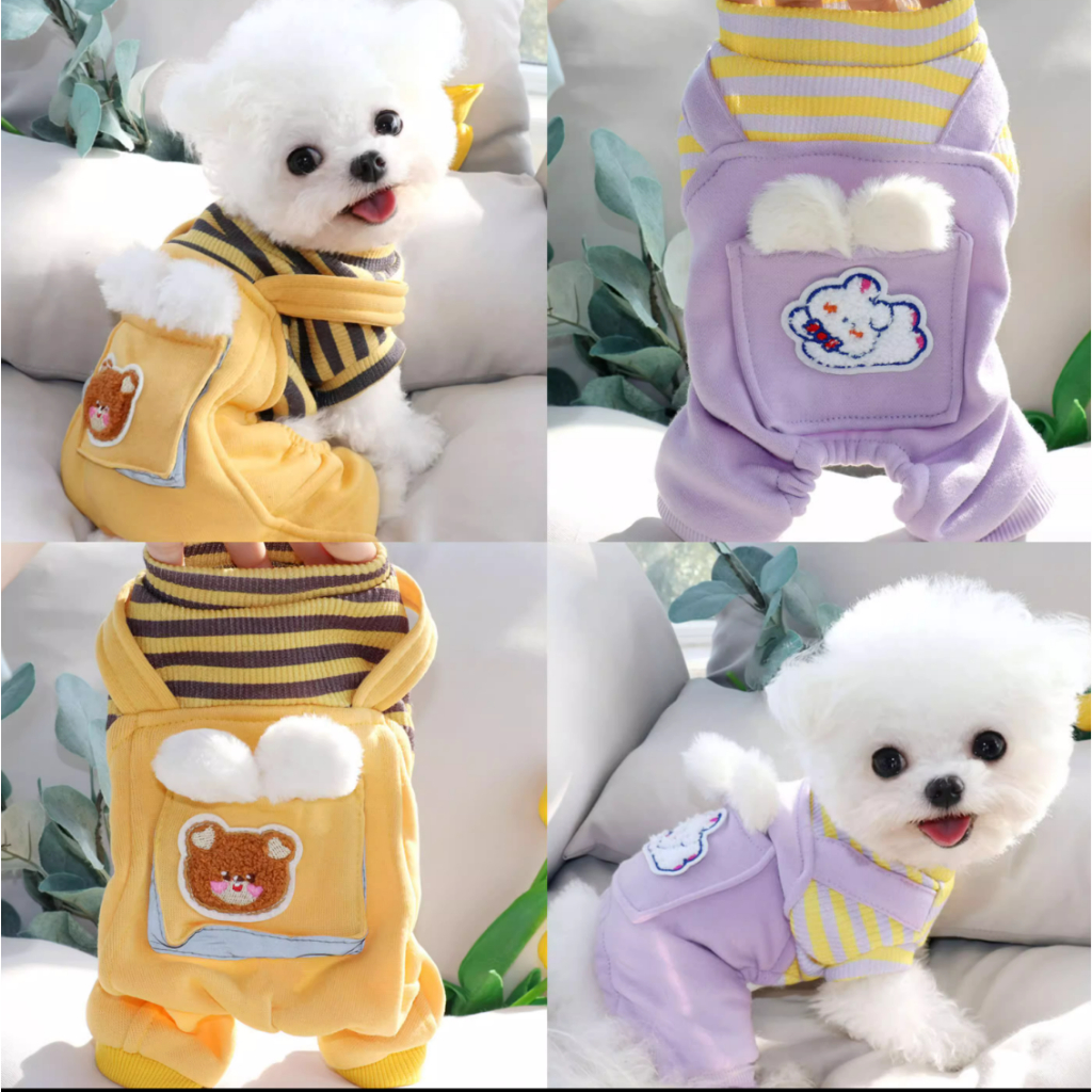 Pomeranian clothes clearance size