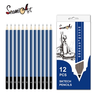 10/12pcs Set 2b-14b Sketch Pencil, Drawing Pencil Kit