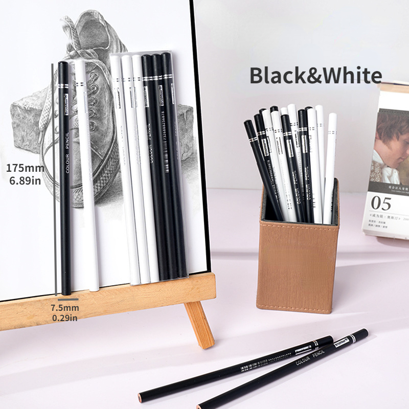 6Pcs/set Black and White Sketch Charcoal Pencil Highlight Standard