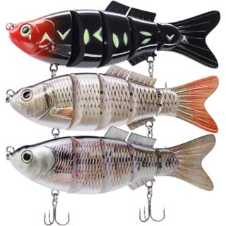 TRUSCEND Fishing Lures for Freshwater and Saltwater, Lifelike Swimbait for  Bass Trout Crappie, Slow Sinking Bass Fishing Lure, Must-Have for Family  Fishing Gear