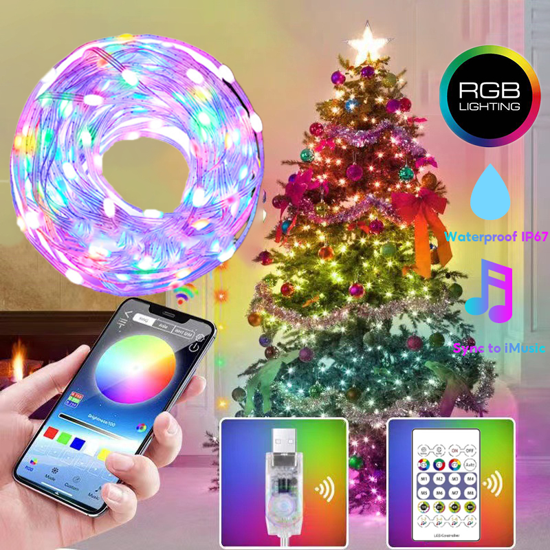 Led strip light Christmas lights with music USB 5V Smart APP 24Key Remote Control Shopee