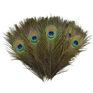 50 Pcs/Lot Natural Real Peacock Feathers for Crafts 25-80cm