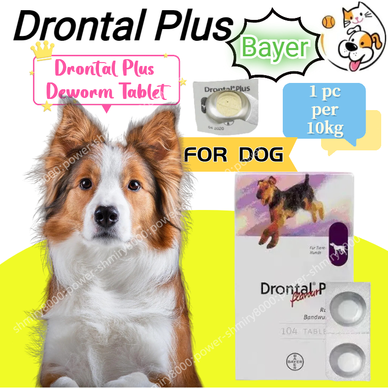 Drontal DOG Original Plus Flavor Effective DOG Worm Medicine For Puppy
