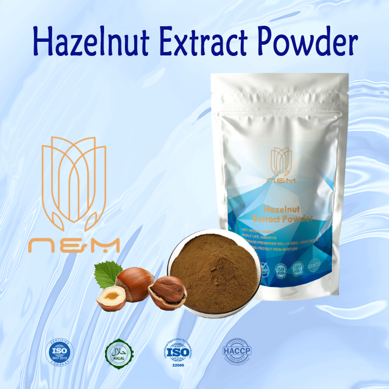 Hazelnut Extract Powder/Improve cholesterol levels/Protecting the
