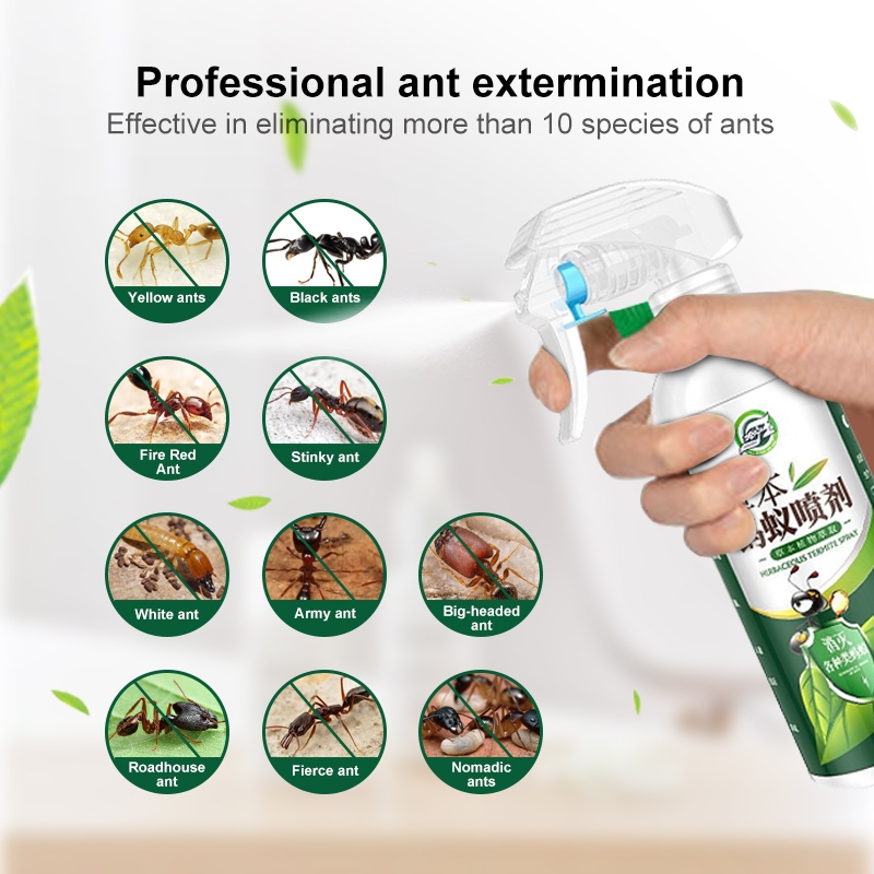 Termite Killer Spray Herbal Formula Termites Killer Solution Odorless ...