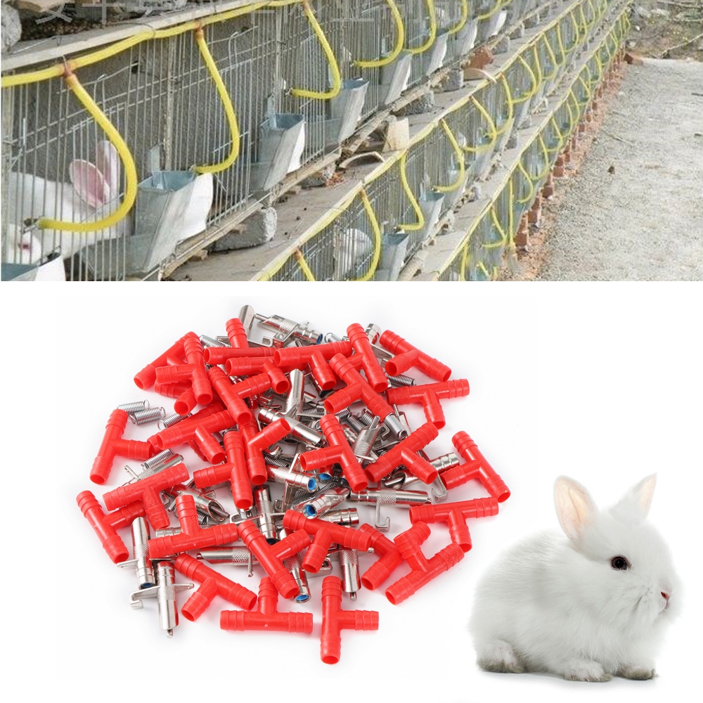 Automatic rabbit waterer sales