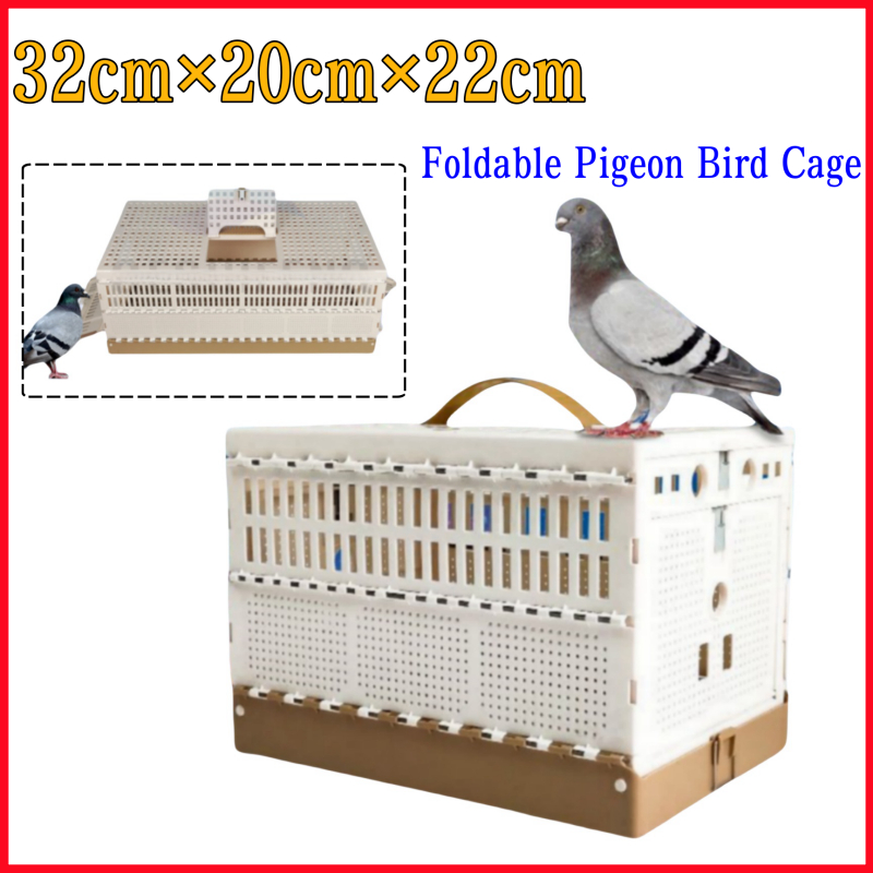 PIGEON TRAINING BOX FOR SALE visual data 6