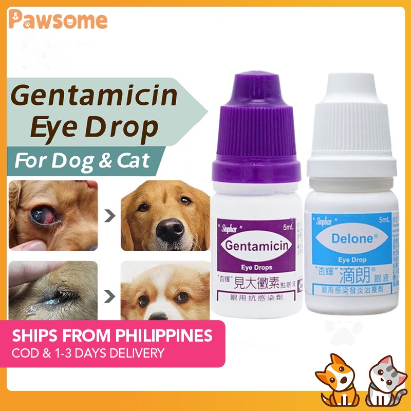Pawsome Pet Eye Drops 5ml Gentamicin Eye Drops for Pet Cat Dogs Eye