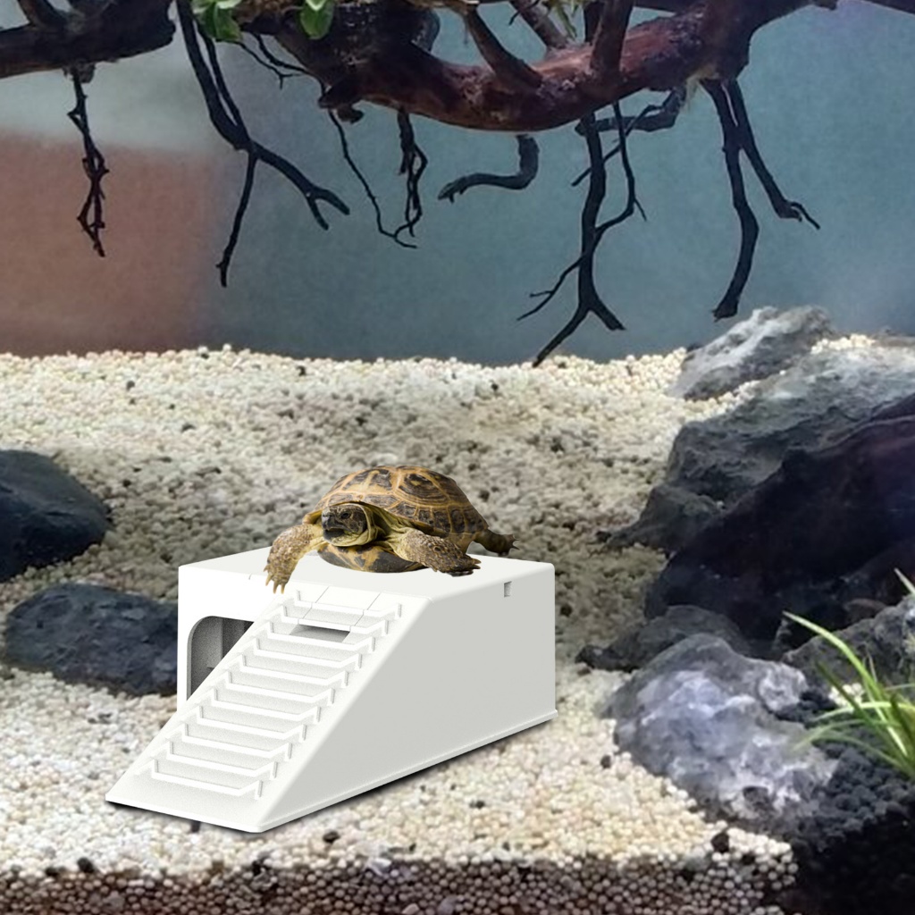 Turtle Aquascape Basking Terrace Turtle Hideout Filtered Running Water ...