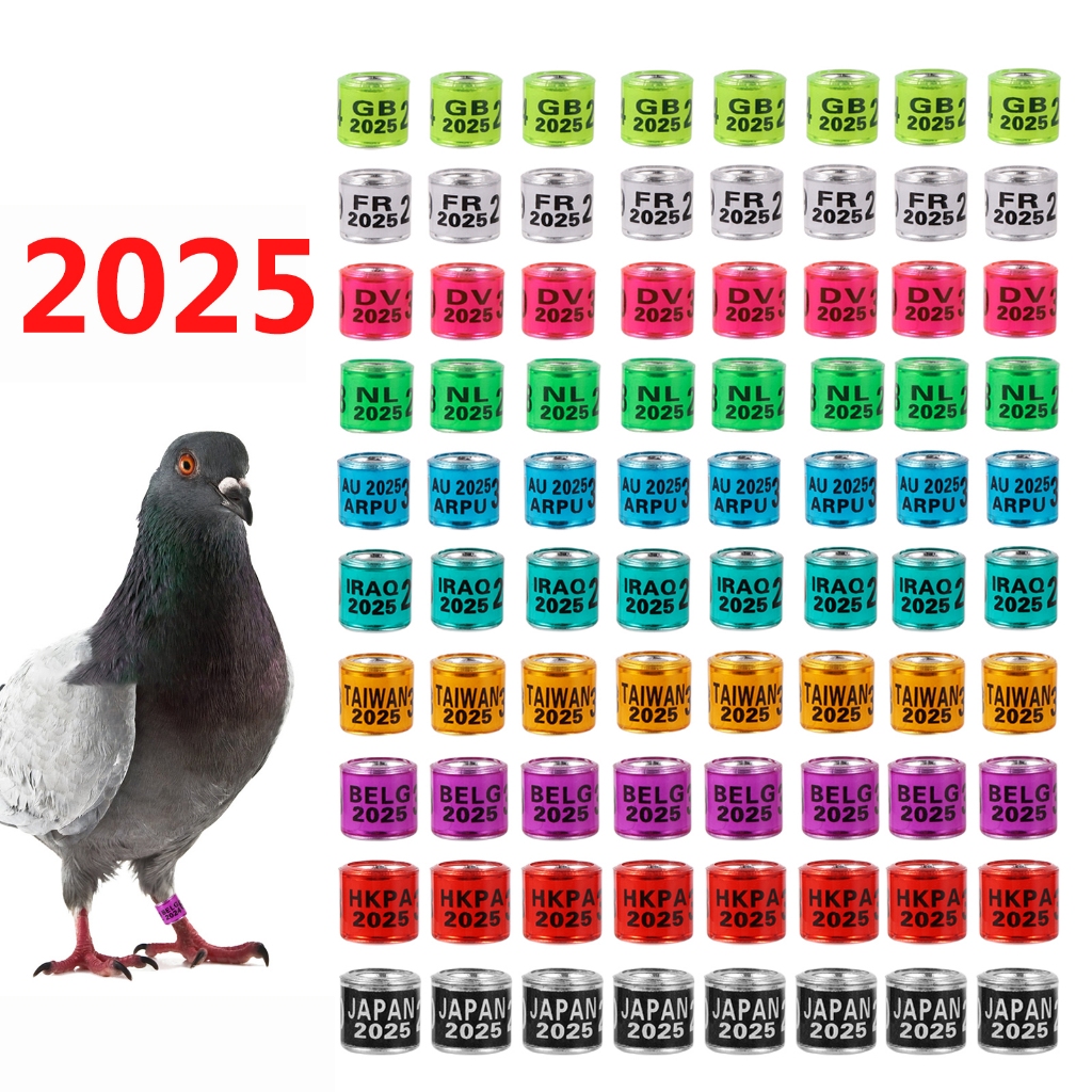 50 Pcs 2025/2024 Pigeons Foot Ring Multicolor 8mm With Word Training