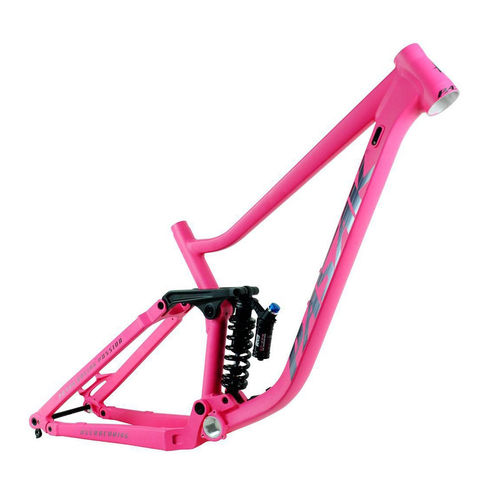 Mtb frame shopee sale