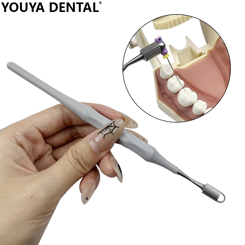Dental Endodontic Files Holder Handuse Files Holder Clinic Endo Root