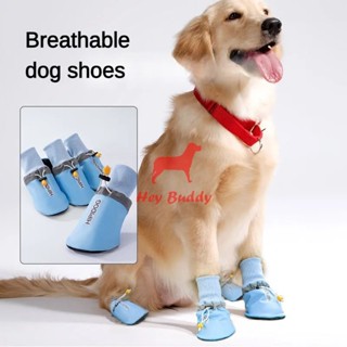 Labrador dog shoes online outlet
