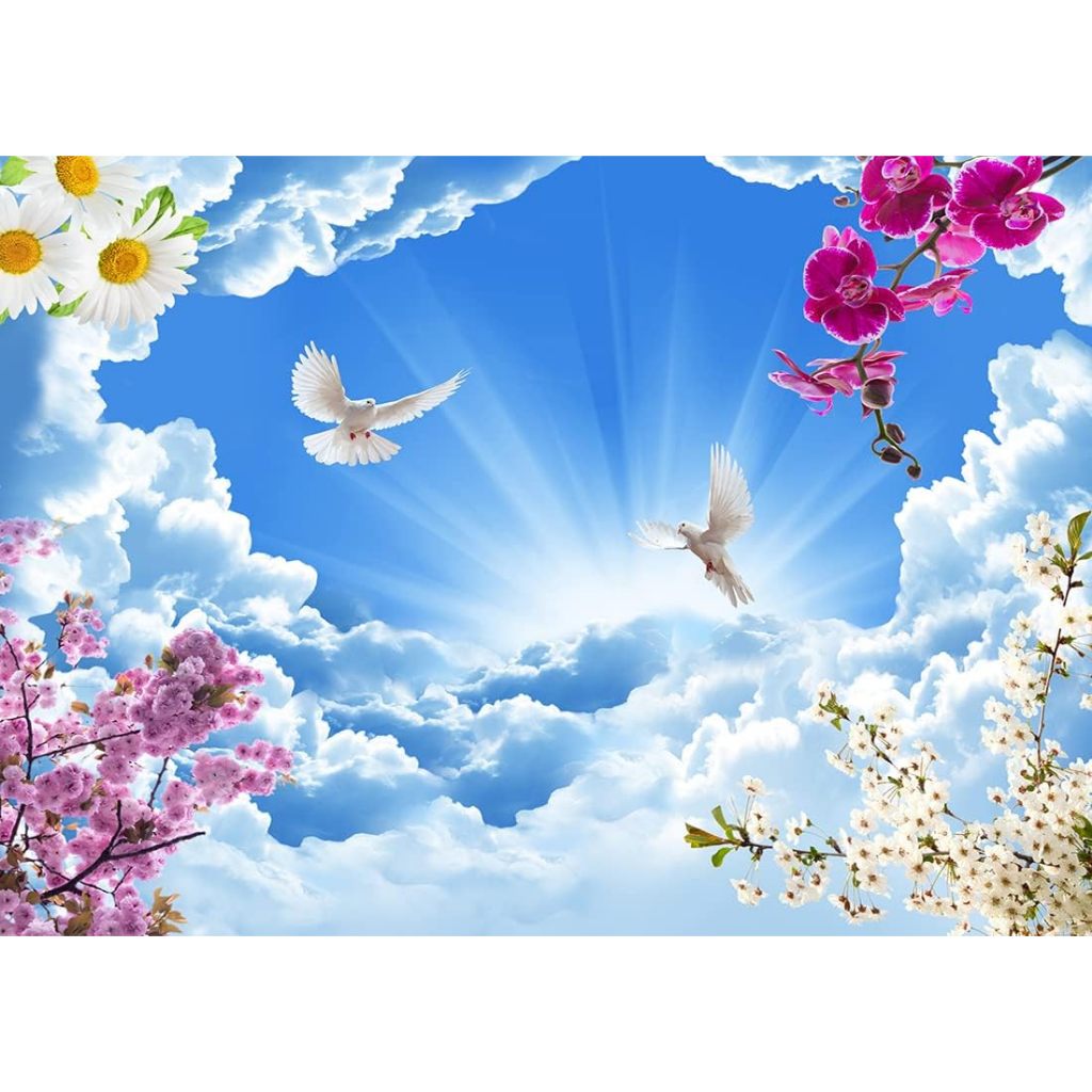 Peace Dove Holy Week Photography Backdrop Holy Spirit Bird Jesus Christ ...