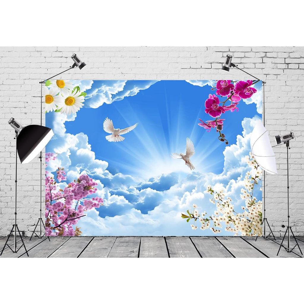 Peace Dove Holy Week Photography Backdrop Holy Spirit Bird Jesus Christ ...