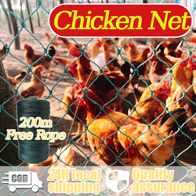 High Quality Poly Net 100M Chicken/Range/Anti-bird/Climbing/Farm/fence ...