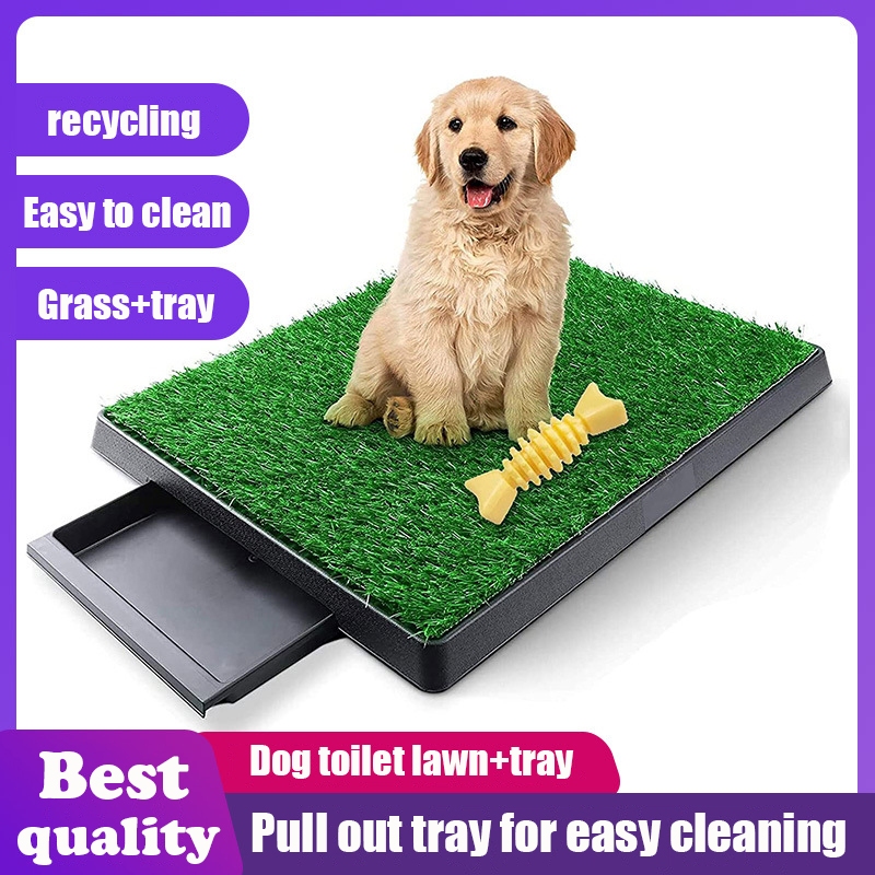 Best dog toilet sale